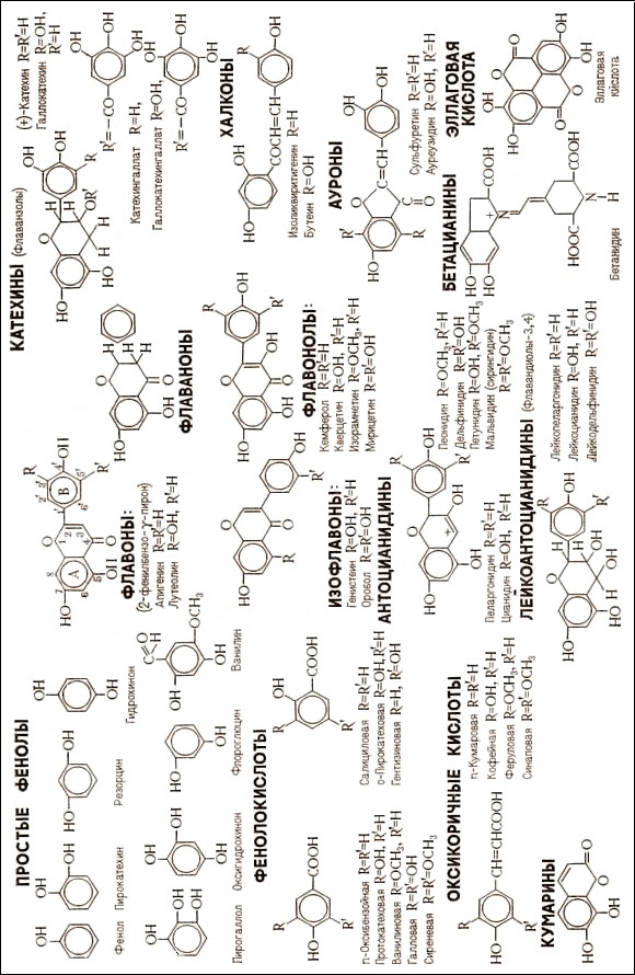 Содержание минеральных элементов в винограде и вине (схема)