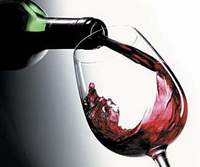 Вино – напиток из виноградной лозы